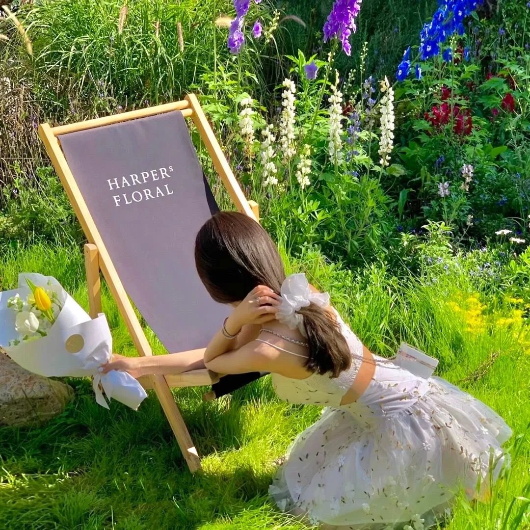 饿狼传：孤狼之道